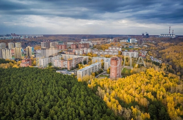 
  Продается универсальное помещение 851 м². Фото 2.