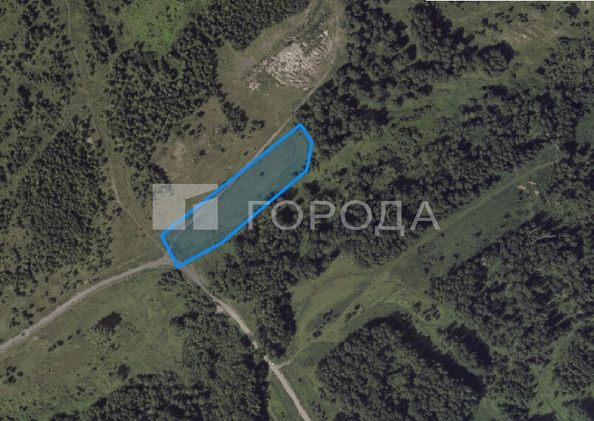 
  Продается земельный участок 88 соток. Фото 5.