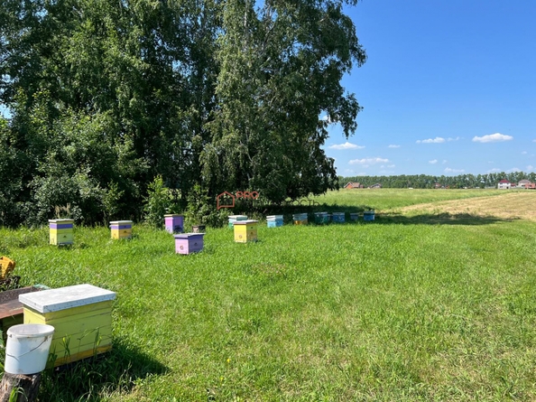 
  Продается земельный участок 450 соток. Фото 24.