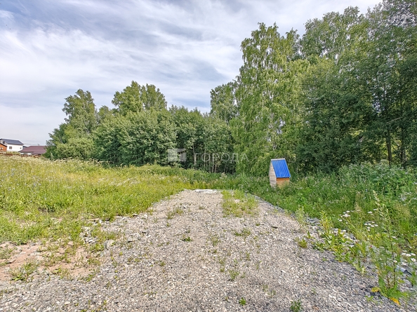 
  Продается земельный участок 12.21 соток. Фото 2.