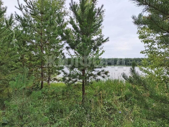 
  Продается дом 20 м². Фото 1.