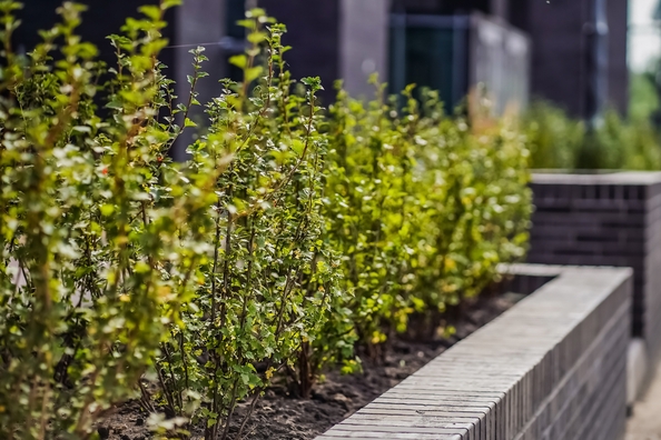 
  Продается 3-комн. квартира 96.9 м², в ЖК Тайм Сквер. Фото 18.