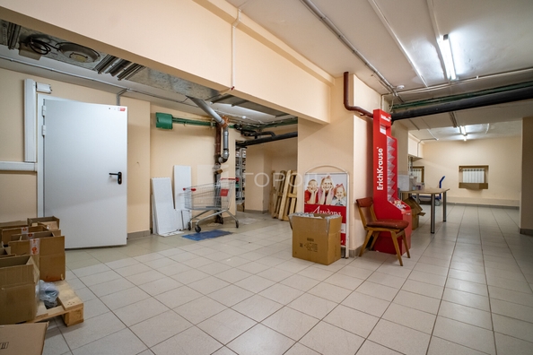 
  Продается торговая площадь 409.1 м². Фото 14.