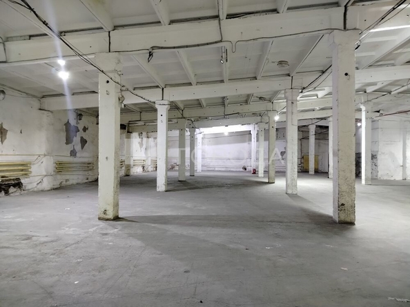 
  Сдается универсальное помещение 1740 м². Фото 4.