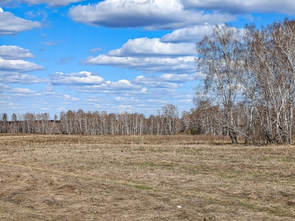 
  Продается земельный участок 232 сотки. Фото 11.