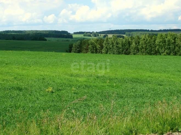 
  Продается земельный участок 9 соток. Фото 1.
