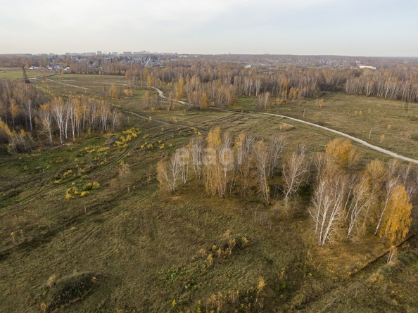 
  Продается земельный участок 6 соток. Фото 7.