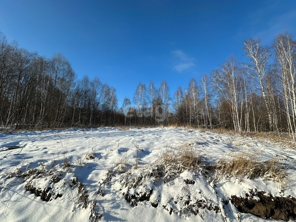 
  Продается земельный участок 9 соток. Фото 1.