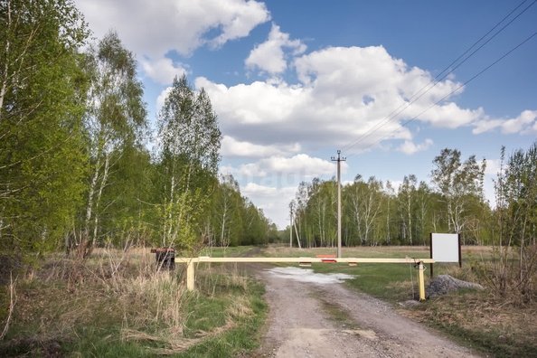 
  Продается земельный участок 14.6 соток, в КП Олимп. Фото 28.