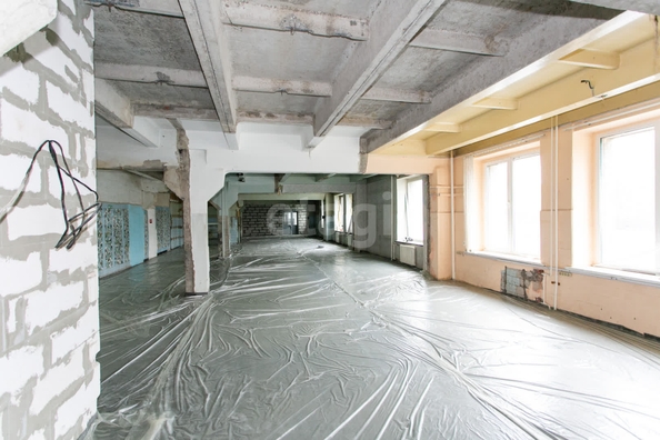 
  Сдается универсальное помещение 345 м². Фото 5.