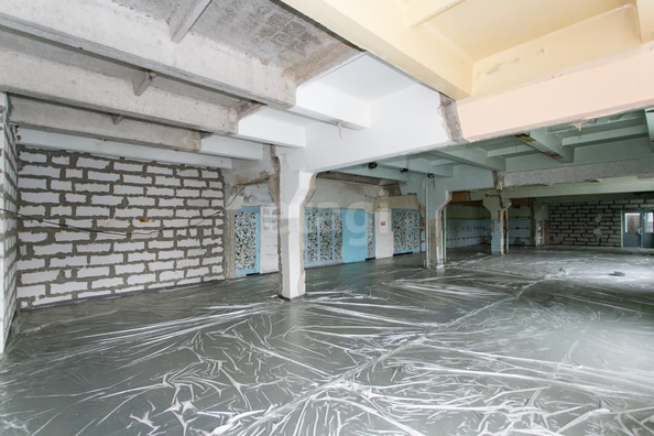 
  Сдается универсальное помещение 345 м². Фото 6.