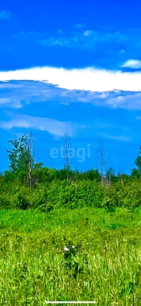 
  Продается земельный участок 8000 соток. Фото 6.