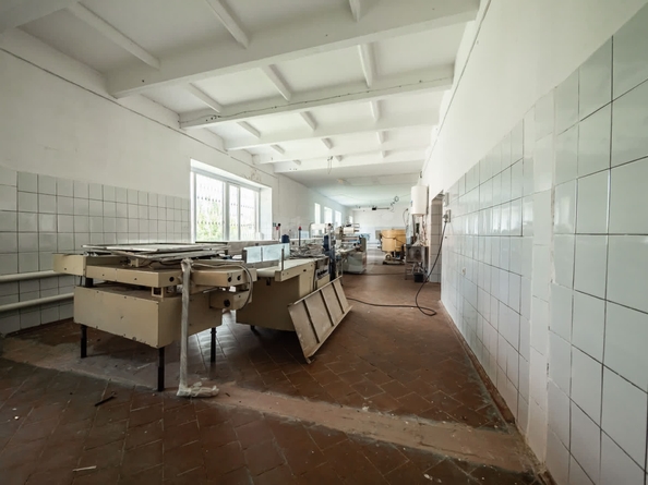 
  Сдается производственное помещение 1690 м². Фото 9.