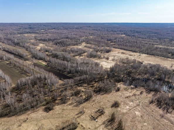 
  Продается земельный участок 950 соток, в КП Олимп. Фото 4.