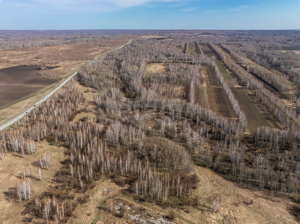 
  Продается земельный участок 950 соток, в КП Олимп. Фото 11.