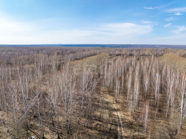 
  Продается земельный участок 950 соток, в КП Олимп. Фото 14.