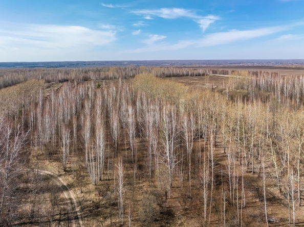 
  Продается земельный участок 950 соток, в КП Олимп. Фото 15.