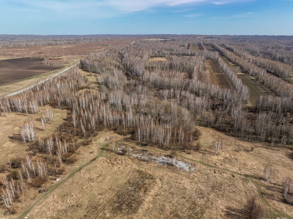 
  Продается земельный участок 247 соток, в КП Олимп. Фото 9.