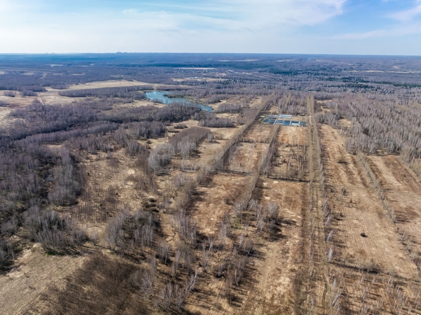 
  Продается земельный участок 224 сотки, в КП Олимп. Фото 7.
