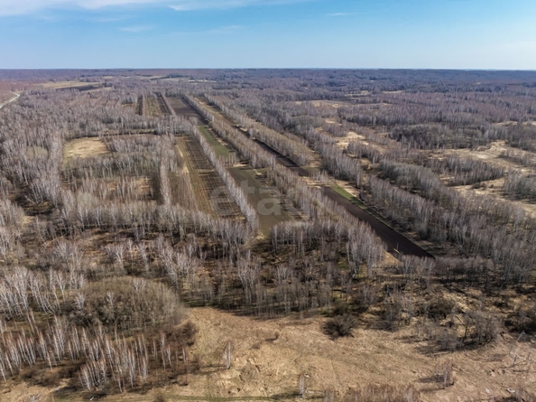 
  Продается земельный участок 6116 соток, в КП Олимп. Фото 9.