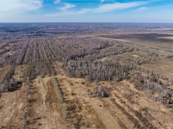 
  Продается земельный участок 6116 соток, в КП Олимп. Фото 16.