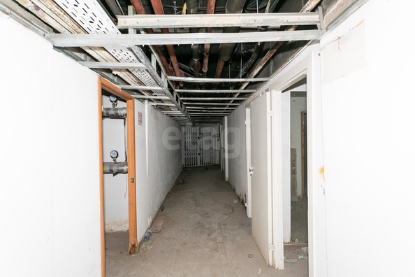 
  Сдается универсальное помещение 280 м². Фото 17.