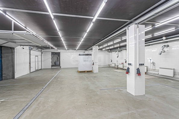 
  Сдается универсальное помещение 900 м². Фото 14.