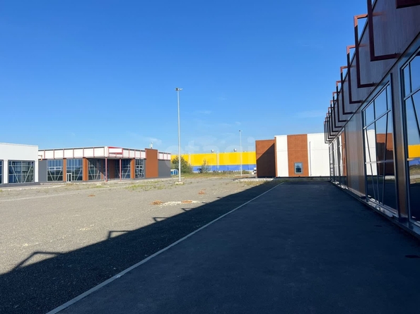 
  Сдается универсальное помещение 3600 м². Фото 6.