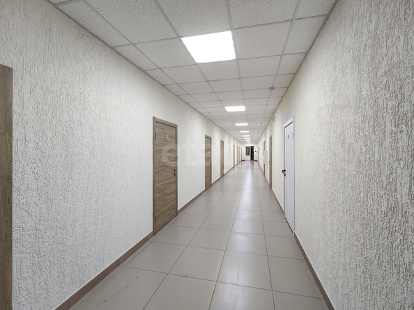 
  Сдается офис 51.6 м². Фото 16.