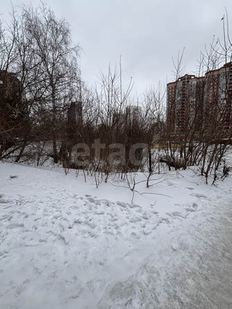 
  Продается земельный участок 4.49 сотки. Фото 6.