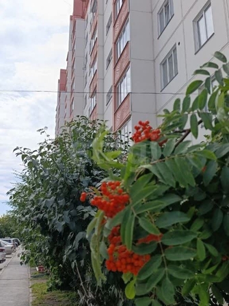 
  Продается 1-комн. квартира 39.8 м². Фото 11.