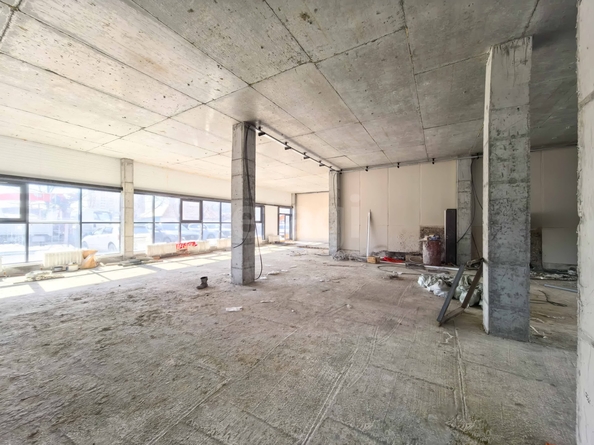 
  Сдается торговая площадь 226 м². Фото 14.