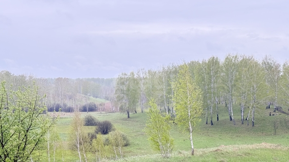 
  Продается земельный участок 54.2 сотки. Фото 9.