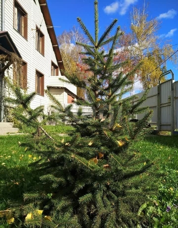 
  Продается дом 165 м². Фото 26.
