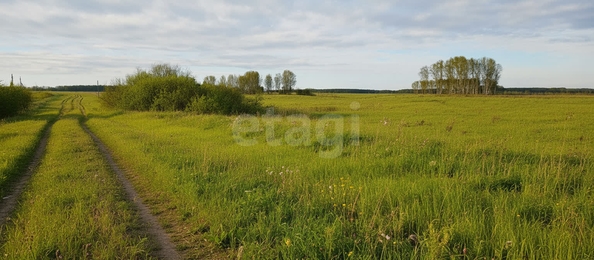 
  Продается земельный участок 99.98 соток. Фото 1.
