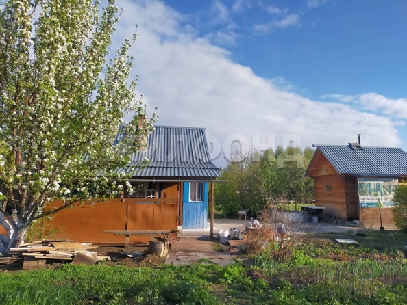 
  Продается дача 24.2 м². Фото 18.