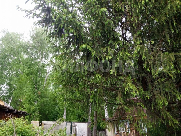 
  Продается дача 35 м². Фото 18.