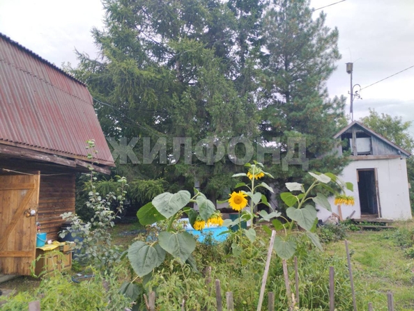 
  Продается дача 36 м². Фото 3.