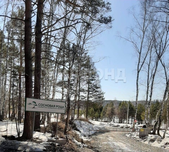 
  Продается земельный участок 11.85 соток. Фото 2.