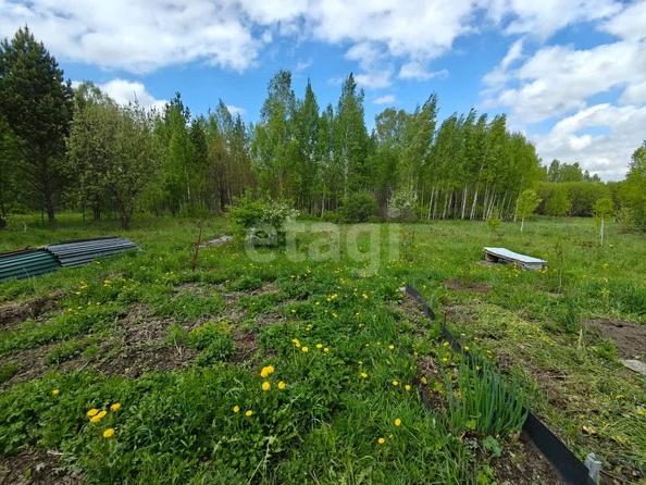 
  Продается земельный участок 18.2 соток. Фото 4.