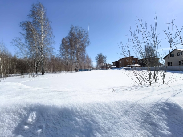 
  Продается земельный участок 8 соток. Фото 3.
