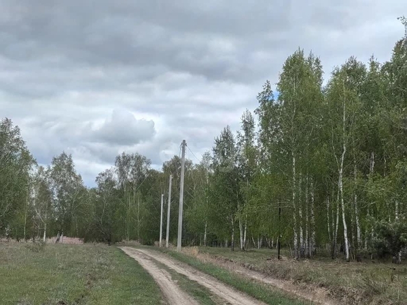 
  Продается земельный участок 21 сотка, в КП Олимп. Фото 6.