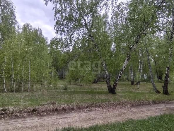 
  Продается земельный участок 21 сотка, в КП Олимп. Фото 7.