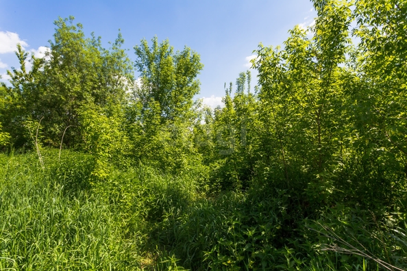 
  Продается земельный участок 6.3 соток. Фото 25.