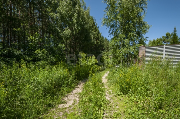 
  Продается земельный участок 20 соток. Фото 2.