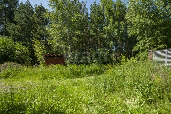 
  Продается земельный участок 20 соток. Фото 5.