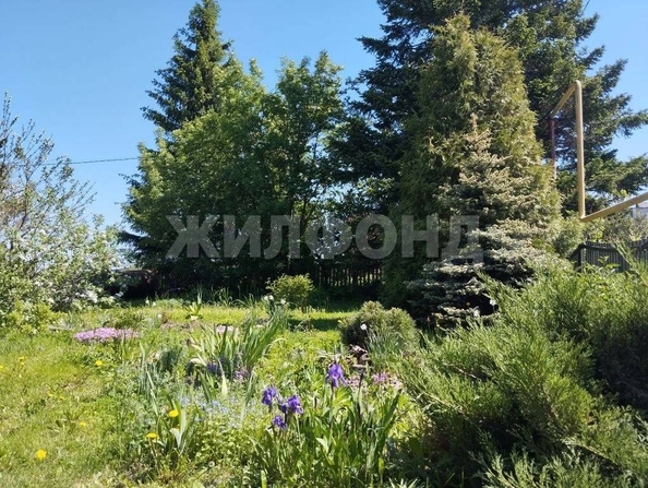 
  Продается дом 34 м². Фото 25.