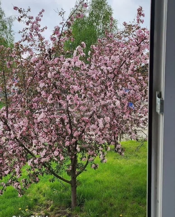 
  Продается 2-комн. квартира 58 м². Фото 15.