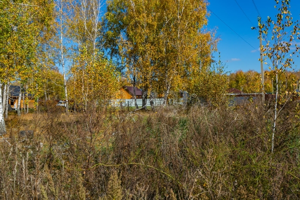 
  Продается земельный участок 18.84 соток. Фото 7.