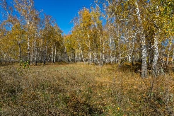 
  Продается земельный участок 18.84 соток. Фото 10.